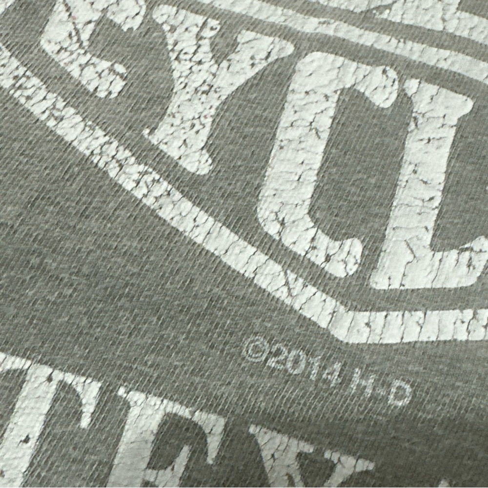 Harley-Davidson Men's XL Graphic T-shirt 2014 distressed Motorcycle Biker - Picture 6 of 12